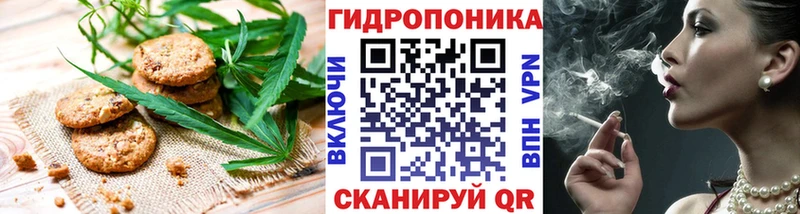 где купить   Короча  Canna-Cookies конопля 