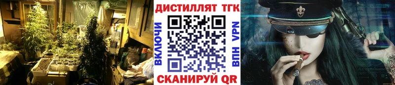 ТГК Wax  MEGA ТОР  Короча 