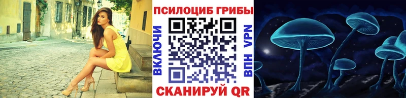 Псилоцибиновые грибы Cubensis Короча