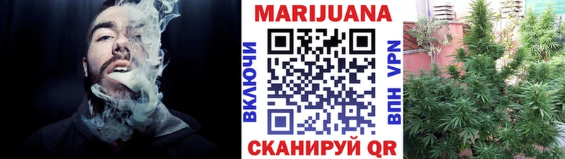 Шишки марихуана план  цены   Короча 